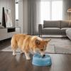Anti-Splash Pet Floating Water Bowl Large Capacity Cat Bowl Dog Drinking Bowl  for Cats and Dogs