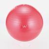 ALINCO Exercise Ball 55cm (Pink) WBN055P