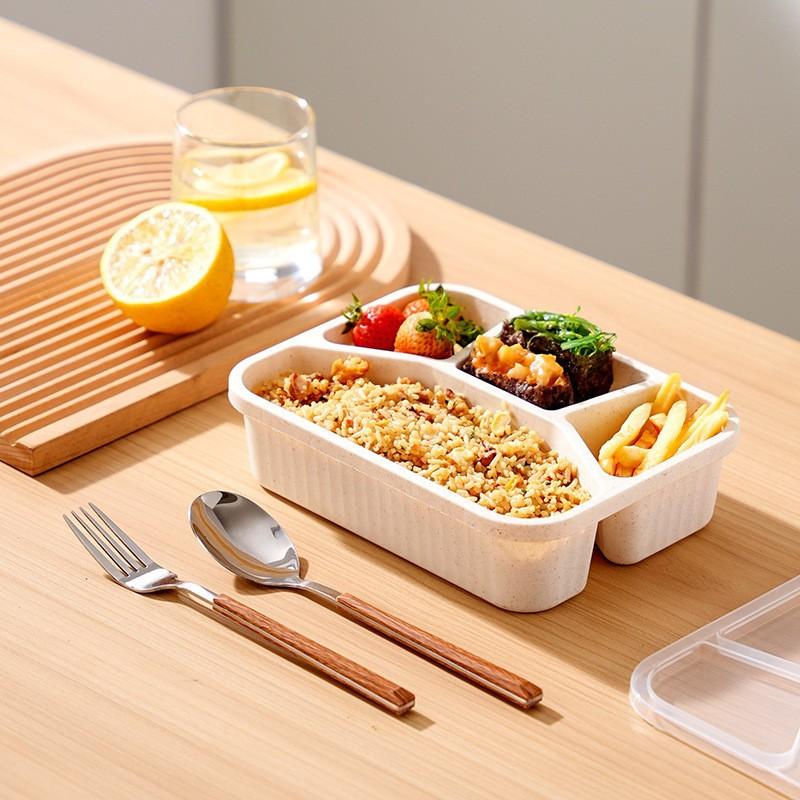 Quadratische Lunchbox mit Fächern für Schüler und Büroangestellte