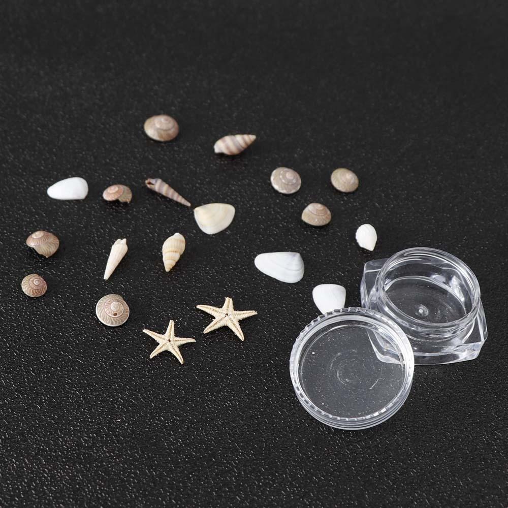 Exquisite Shell Conch Natural Shell Flat Bottom Conch Jewelry Accessories Micro Landscape DIY Nail Art Decoration