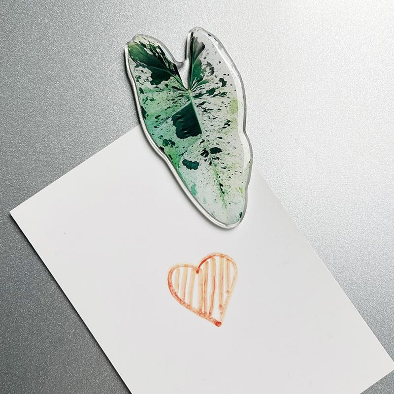 1 Stück Heimdeko Magnetischer Aufnäher Kühlschrankmagnete Tropisch Für Erinnerungen Kreative Simulationspflanze Blattförmig Acryl Tropfen