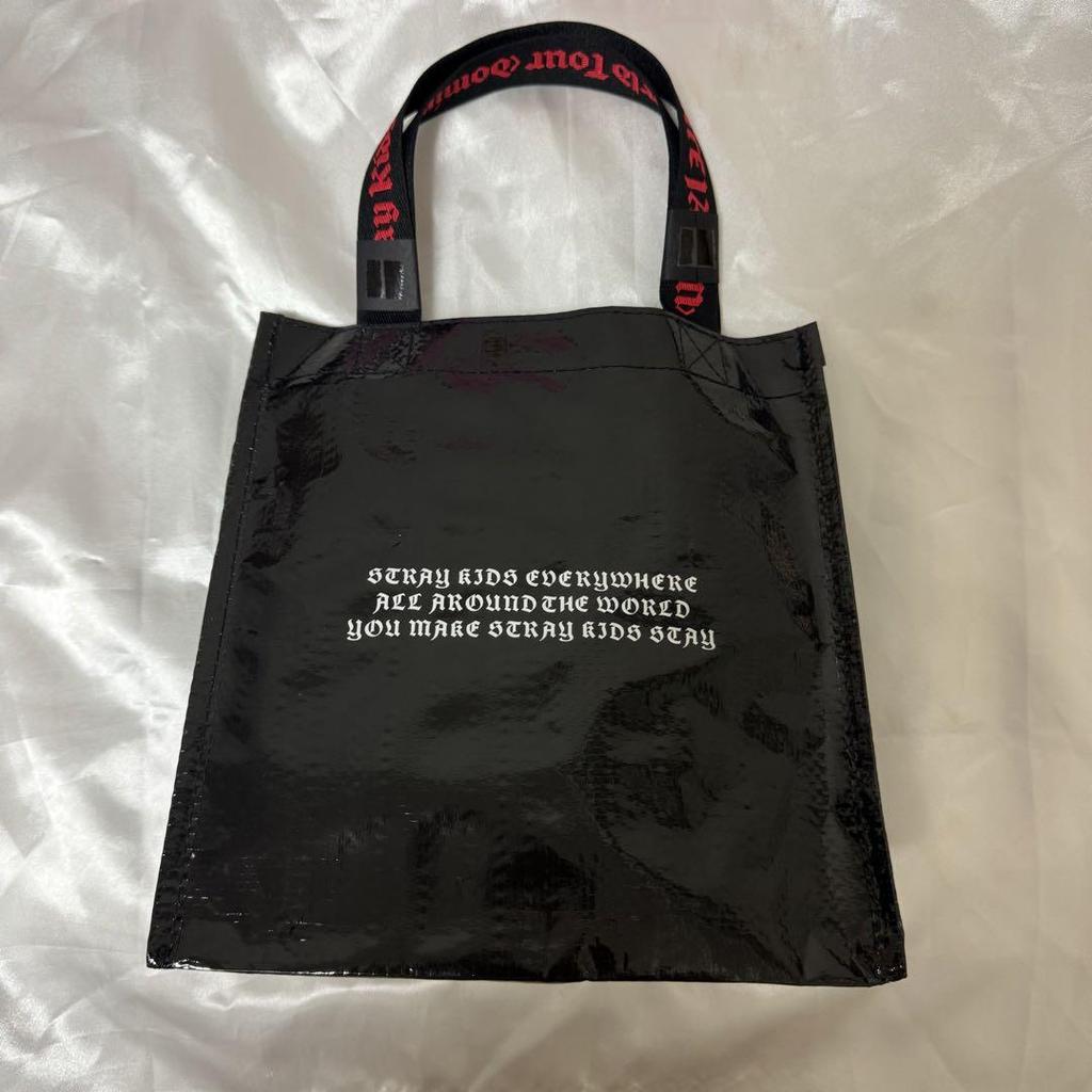 [USED] Stray Kids DominATE App Grade Bonus