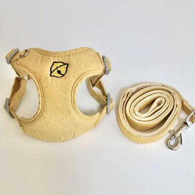 Köpek – Köpek Tasmaları ve Tasma Kayışları