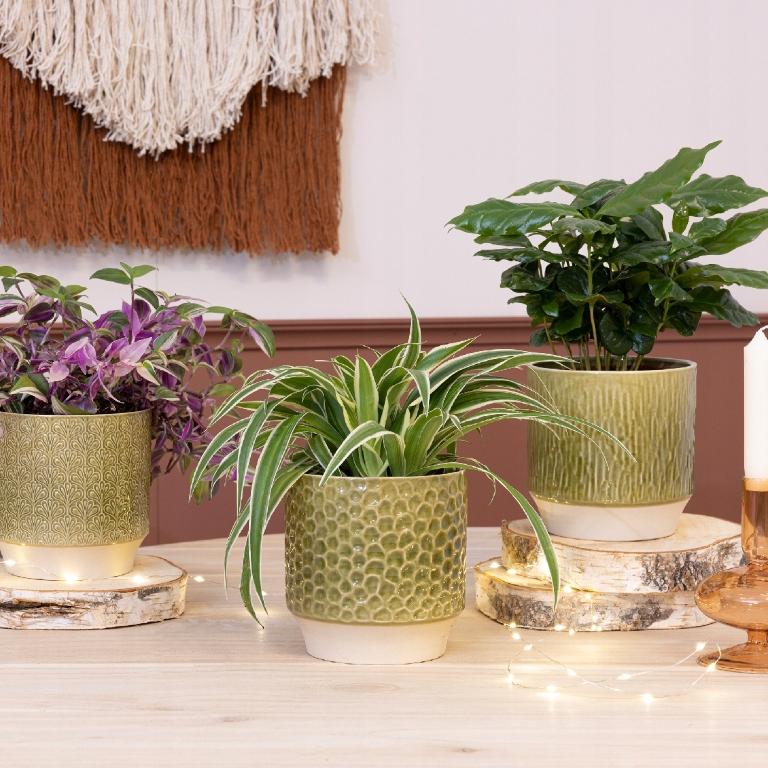 Ceramic flower pot, green, 13 x 13 cm