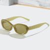JYL TS Sunglasses 004 Small Square INS Cat Eye Women/5028