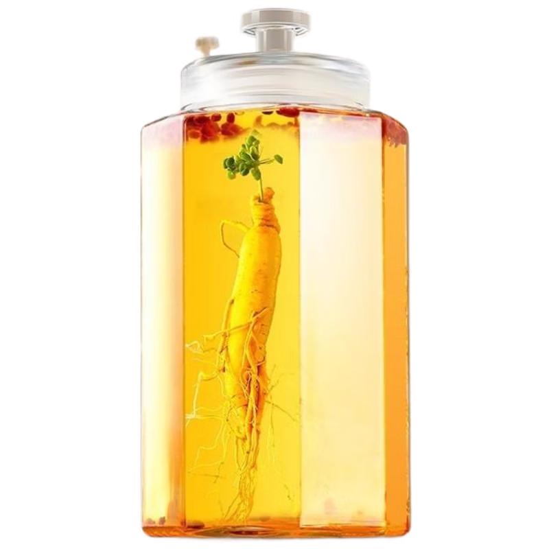 HANDUNYOU 10L Sealed Glass Infusion Jar
