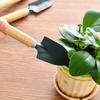3-Piece Mini Gardening Tool Set Iron Steel Hand Trowel Transplant Spade Rake Suitable for Succulent Bonsai Indoor Plants Miniature Landscape Creation