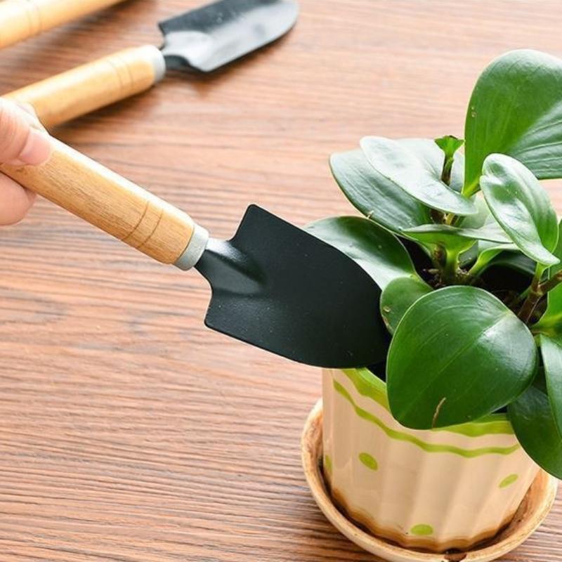 3-Piece Mini Gardening Tool Set Iron Steel Hand Trowel Transplant Spade Rake Suitable for Succulent Bonsai Indoor Plants Miniature Landscape Creation