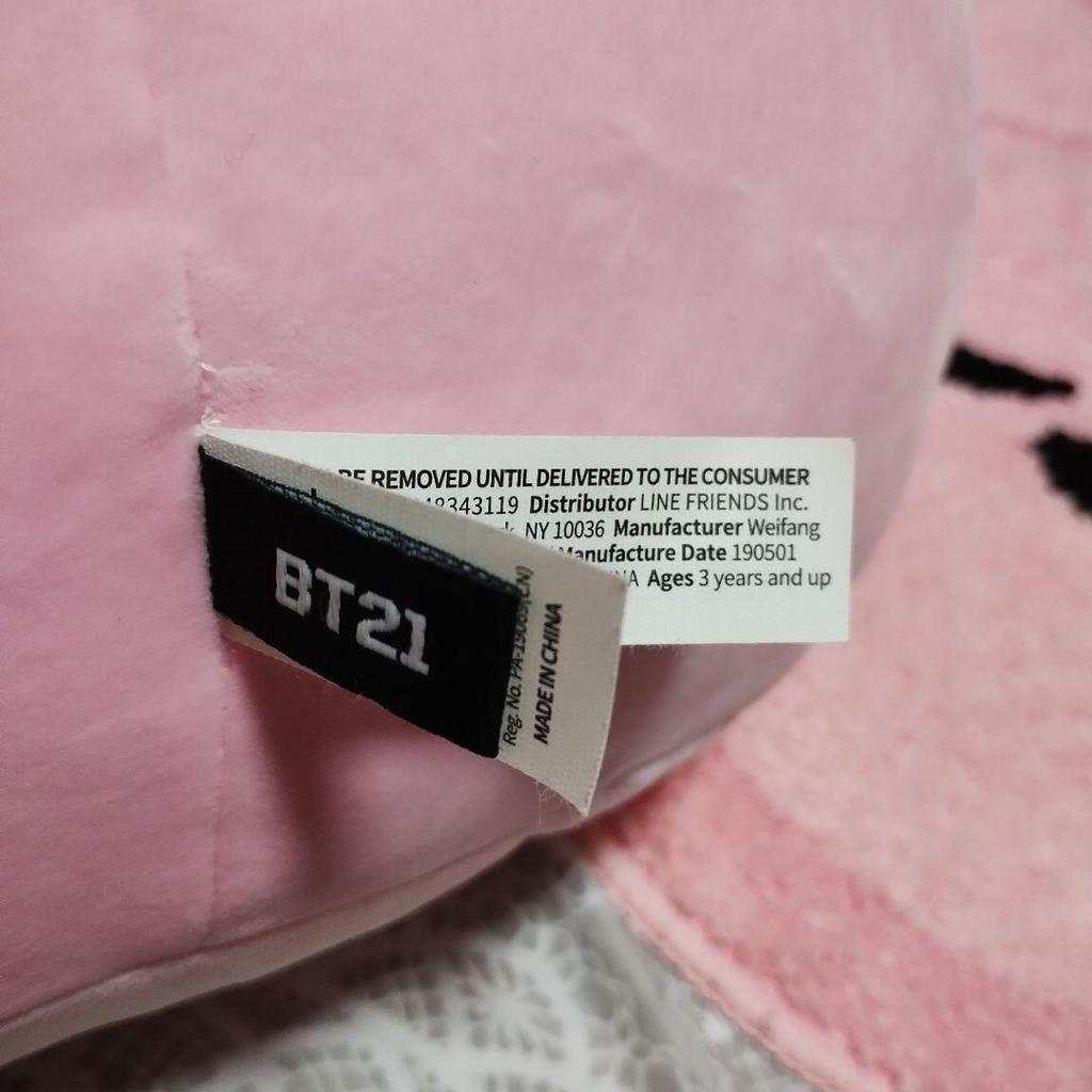 Used BTS BT21 Cushion & Mat