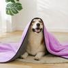 Dog Towels Pet Bath Drying Towels Absorbent Microfiber Soft Beach Towels