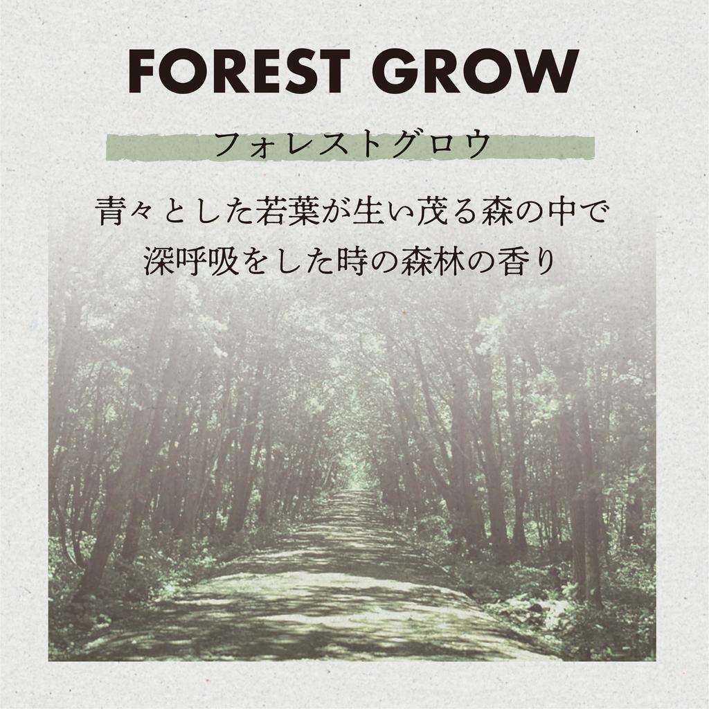 CARALL AWESOME DAYS 3561 Forest Glow Plate Pack of 3