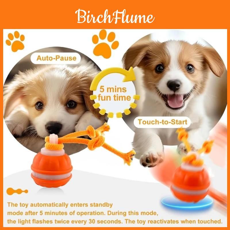 Interactive Squeaky Dog Toys For Boredom Relief Reduce Anxiety Chew Toys For Dogs