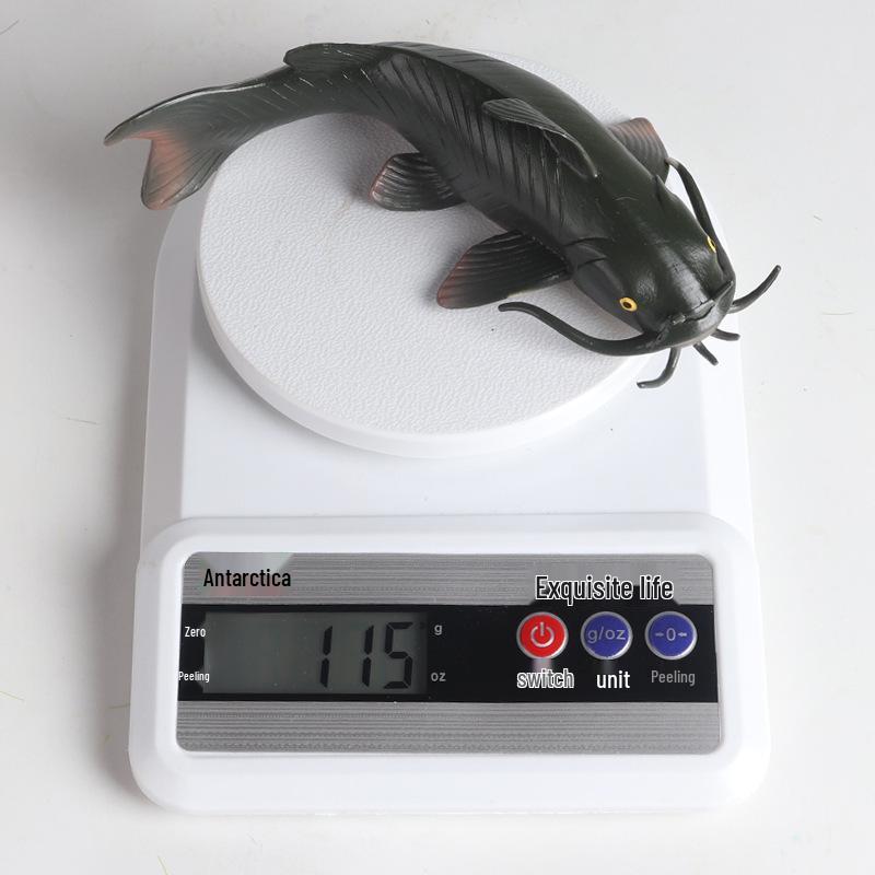 Children's Cognitive Catfish Model Toy - Whiskered Freshwater Fish Ornament