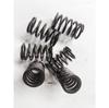 Cummins Z14 Valve Spring C5591415