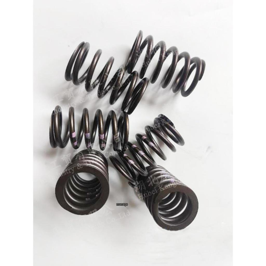 Cummins Z14 Valve Spring C5591415