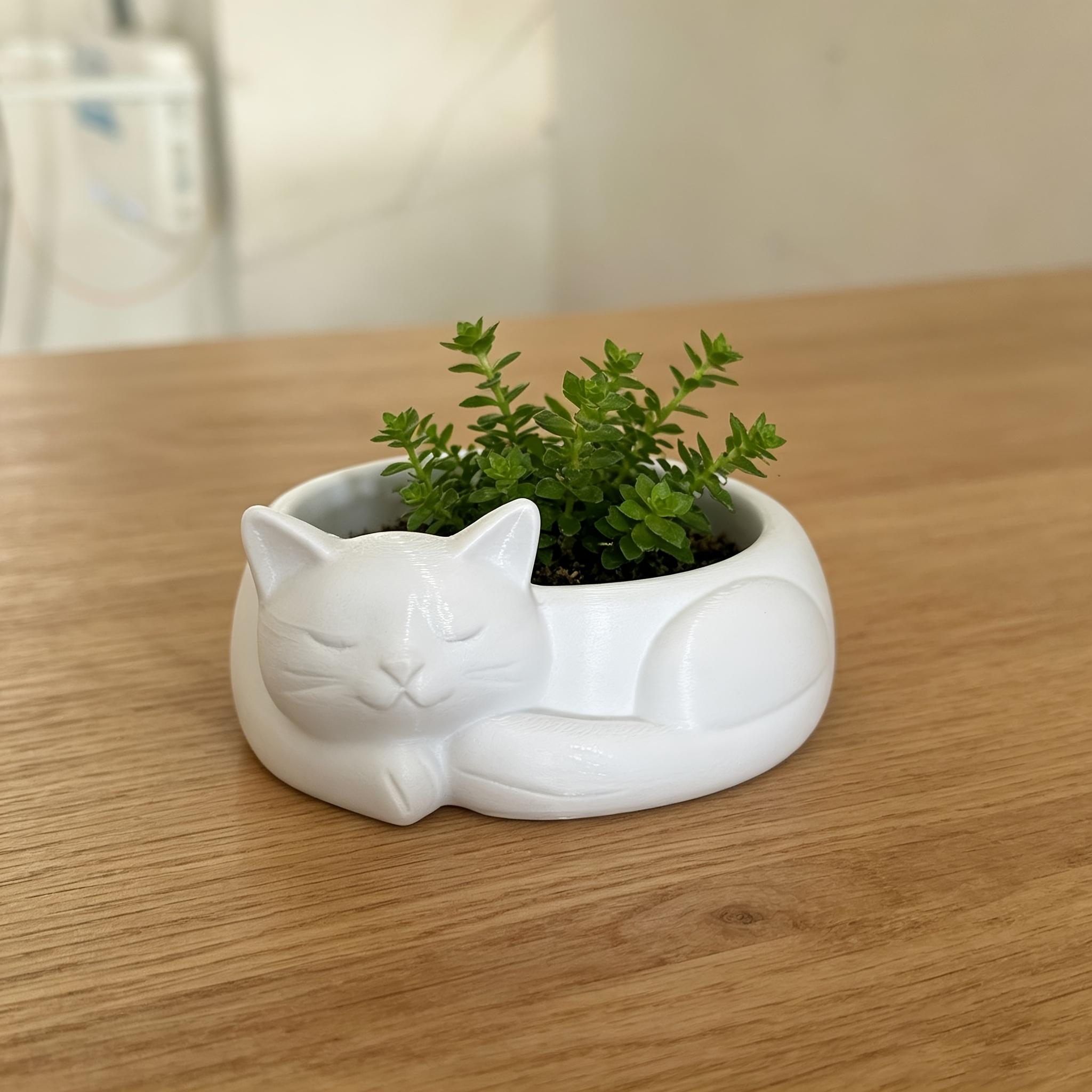 3D Printed Sleeping Cat Bowl, Cute Cat-Shaped Decorative Bowl for Pet Food, Succulent Planter, Jewelry Storage, Home Decor Gardening Gift,home Decor