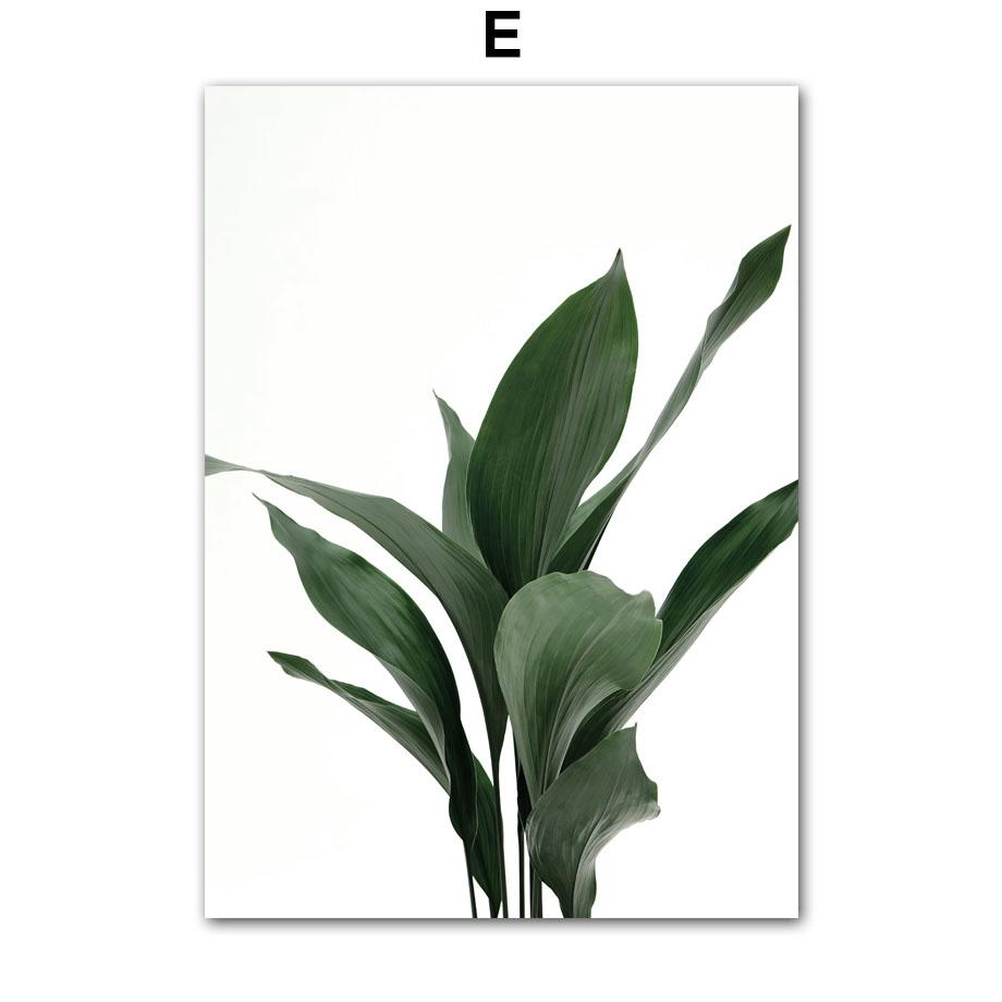 Tropical Plants Palm Leaves White Flower Wall Art Canvas Painting Nordic Posters And Prints Wall Pictures For Living Room Decor