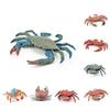 Simulation Animal Model Vivid Intelligence Development Solid Aquarium Miniature Crab Cognition Education Toy for Home