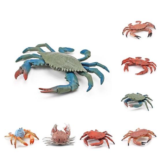 Simulation Animal Model Vivid Intelligence Development Solid Aquarium Miniature Crab Cognition Education Toy for Home