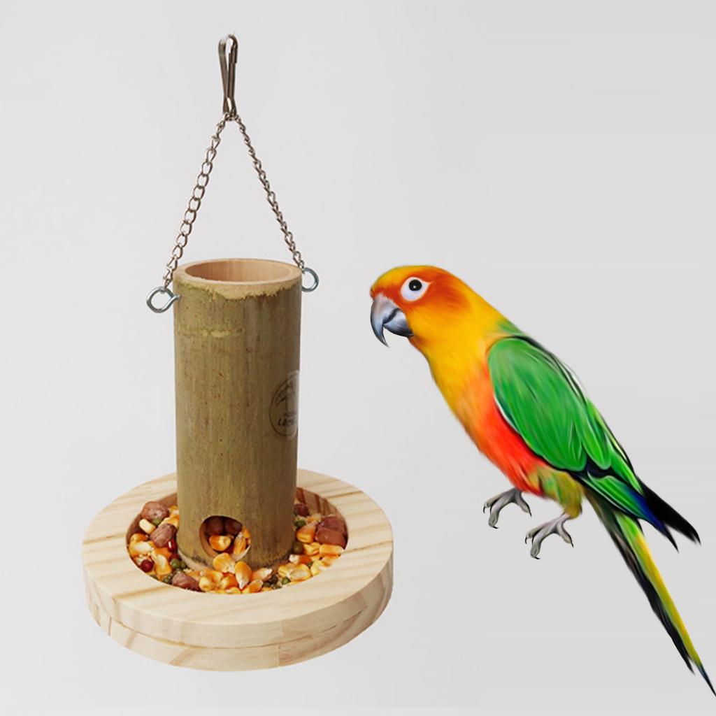 parakeet foraging toys