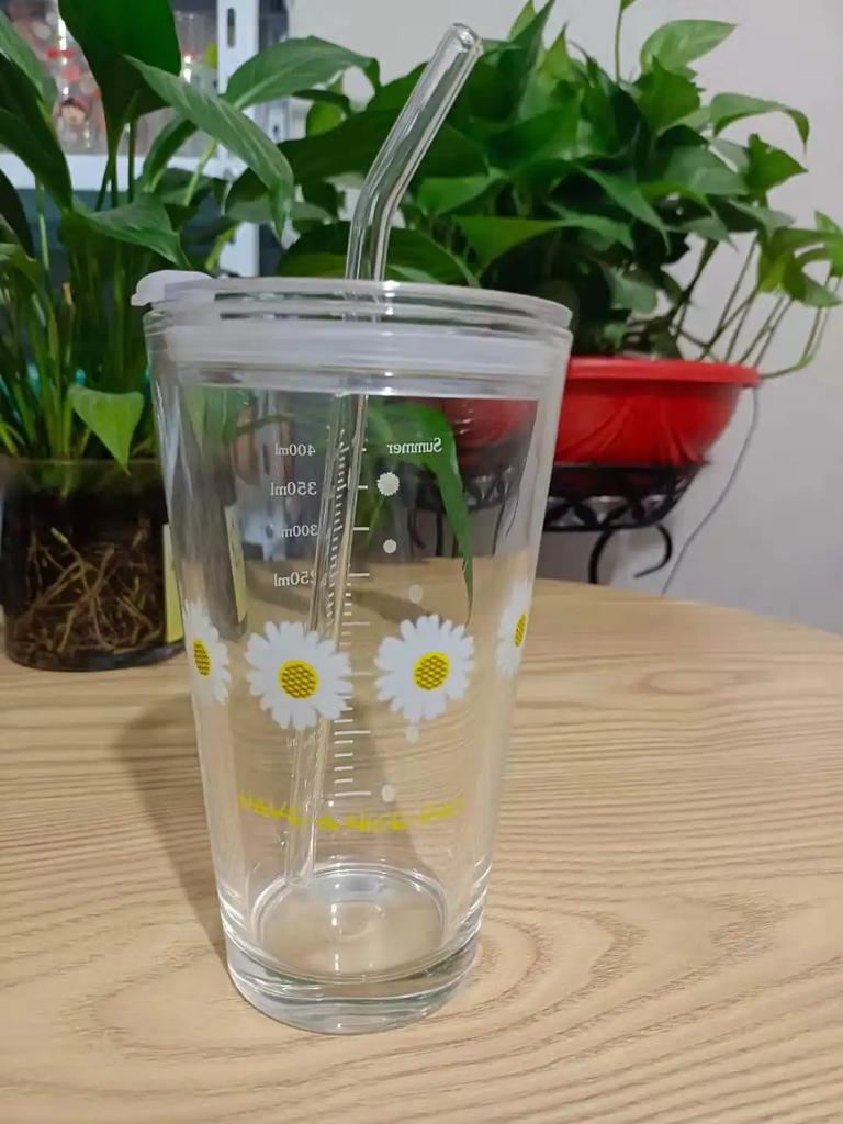 New 480ML Kawaii Glass Straw Cup with Cover Cartoon Water Cup Drinkware Juice Tea Coffee Milk Cup Glass Mugs Gift