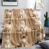 Cute puppy and kitten ID photoPrint Flannel Blanket,High quality Comfortable for All Seasons,Home Decor,Warmth and Comfort,Perfect for Christmas Gifts