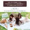 Large Thick Picnic Sheet 150x200 Waterproof Lightweight Korean Style Dark Color Instagrammable Outdoor Foldable Camping Washable [Rocotto] (Check