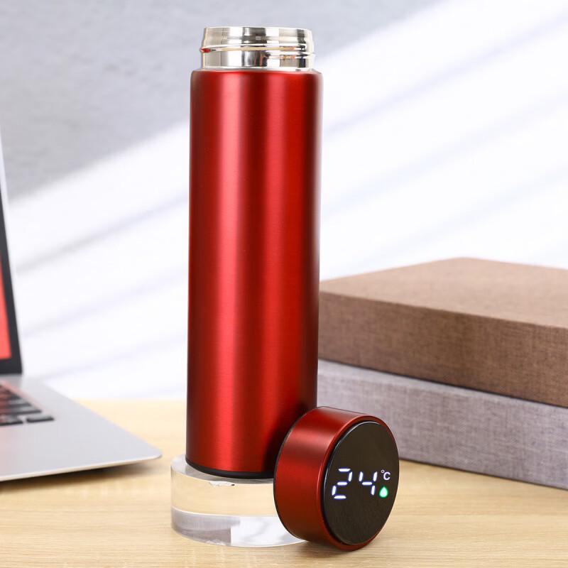 Smart Temperature Display Insulated Water Bottle