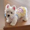 Dog Clothes Spring and Autumn Cute Suspender Vest Bigbear Cat Teddy Pomeranian Small Dog Pet Lace Dress