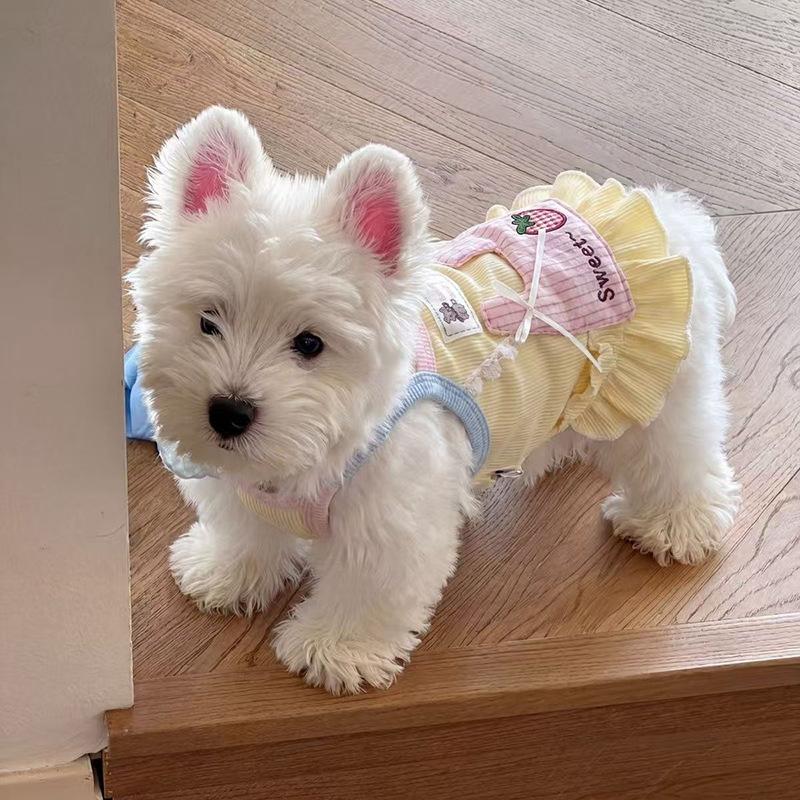Dog Clothes Spring and Autumn Cute Suspender Vest Bigbear Cat Teddy Pomeranian Small Dog Pet Lace Dress