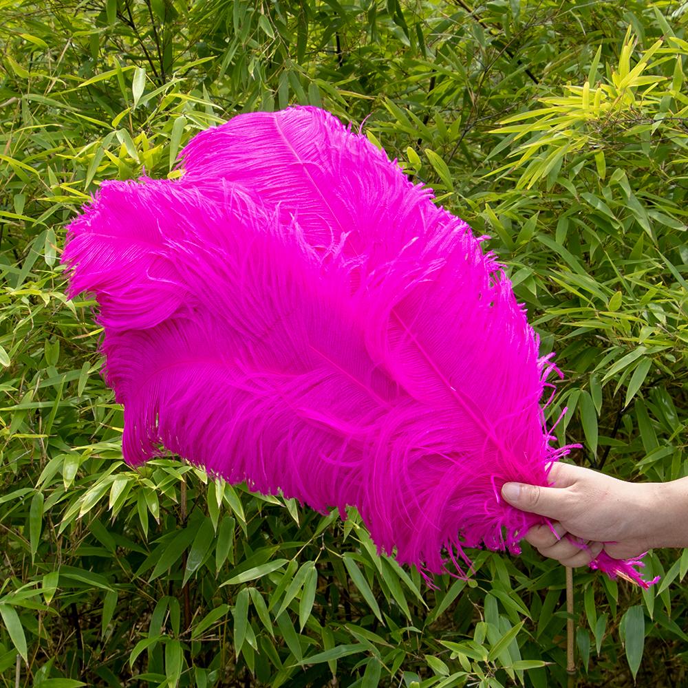 10 buc Pene Naturale de Struț Vrac 15-50cm Pană pentru Meșteșuguri pentru Petrecere Nuntă Decor Acasă Centrul Mesei Decorare Bijuterii