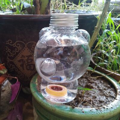 Plant Waterer Self Watering Globes Self Watering Spikes Plant Indoor & Outdoor