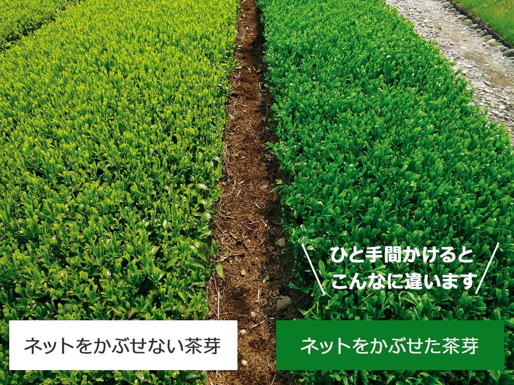 100% First Harvest Makinohara Tea from Shizuoka, Deep-Steamed Makinohara Tea, Covered Green Tea, Leaf Tea, Premium Quality, 100g (1 bag)