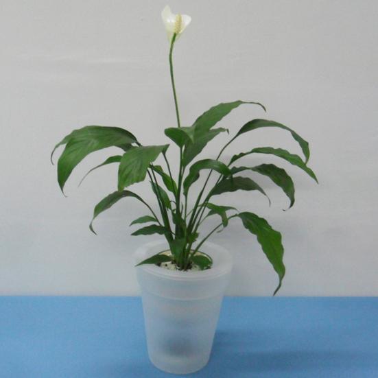 Pot de fleur creux en ABS, coque lumineuse sans fil pour l'extérieur, Pot de plantes solaires LED, fournitures ménagères