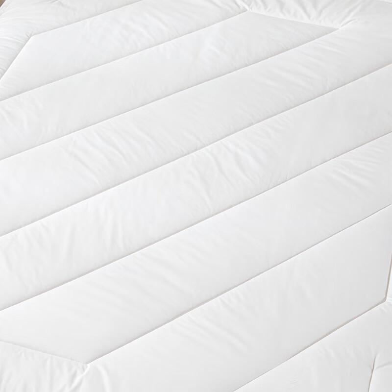 LUOLAI LOVO Silky Soft 100% Wool Quilt Core