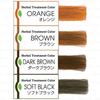 SimSim Japan - Madame Henna Herbal Treatment Color Shaker Set
