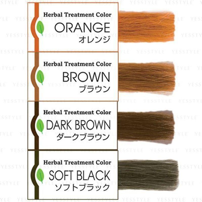 SimSim Japan - Madame Henna Herbal Treatment Color Shaker Set