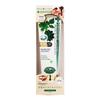 Dentis Tube Type Pro-B Toothpaste Mint Scent 100g