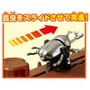 TAKARA TOMY Ania Insect Battle Stage Animal Dinosaur Insect Toy Ages 3+