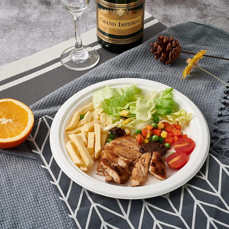 

9 Inch Uncoated White Paper Plates for DIY Art - Perfect for Kids Craft Projects, Birthday & Christmas Party Decorations - Bulk United States