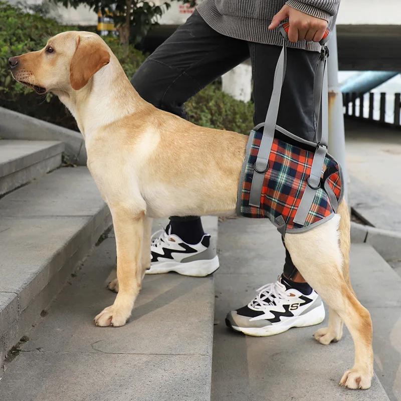 Adjustable Dog Support Harness for Front