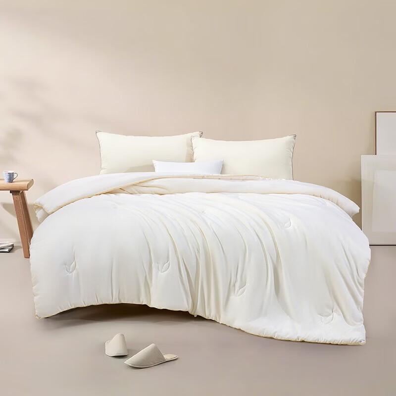 Mercury Home Textiles Warm Dream Soybean Antibacterial Fiber Quilt