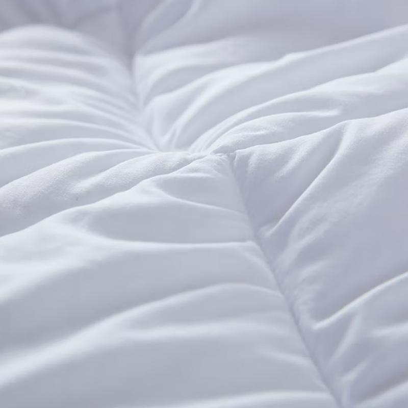 

Mengjie All-Season Iodine Fiber Quilt