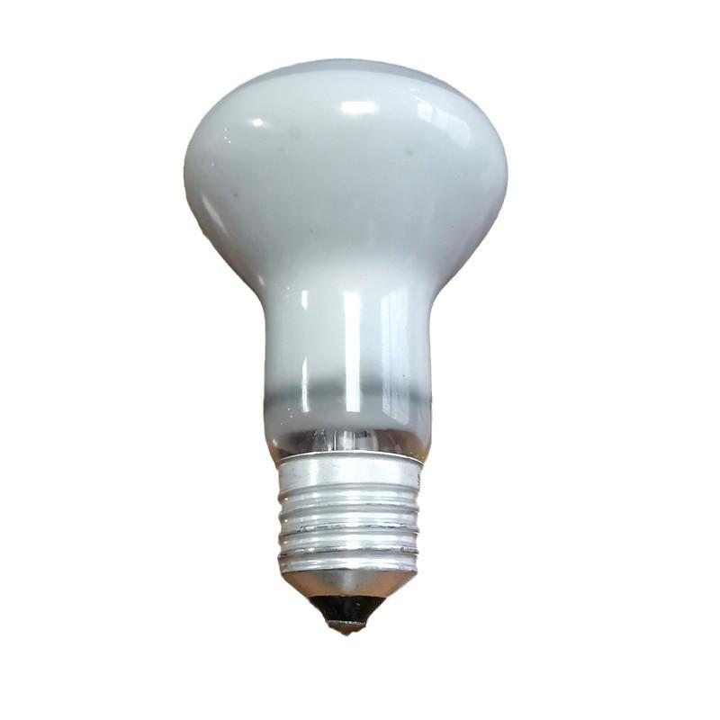 UVA Reptile Day & Night Heating Lamp for Lizard, Tortoise, and Terrarium