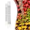 Climbing Plants Accessory Moss Pole Stackable Plastic Support Stake Watering Feature Potted Plant Upright Garden Trellis