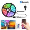 5V LED Strip Lights with Bluetooth Control IR Remote SMD5050 Flexible Led Tape 30/60 LEDs/M RGB Ribbon Room Decor Backlight