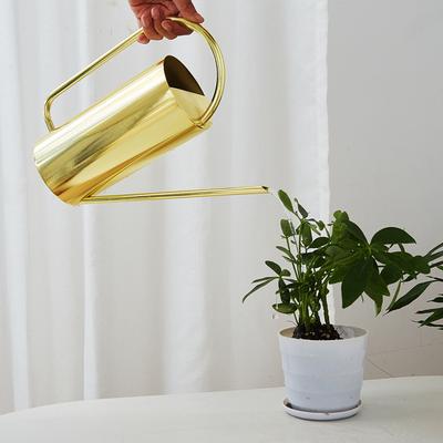 Arrosoir en Acier Inoxydable Capacité 51oz Arrosoir pour Plantes d'Intérieur Bec Long et Étroit pour un Arrosage Ciblé