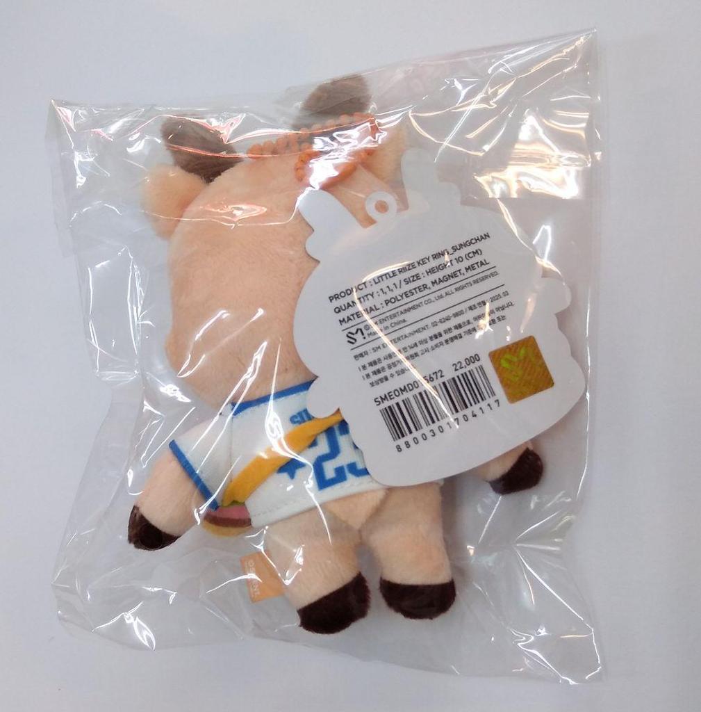 [USED] RIIZE Songchan WE LITTLE RIIZE Doll Key Ring