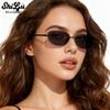 Hailey-Style Frameless Oval Sunglasses - Y2K Millennial Hot Girl European & American Trend for Men & Women