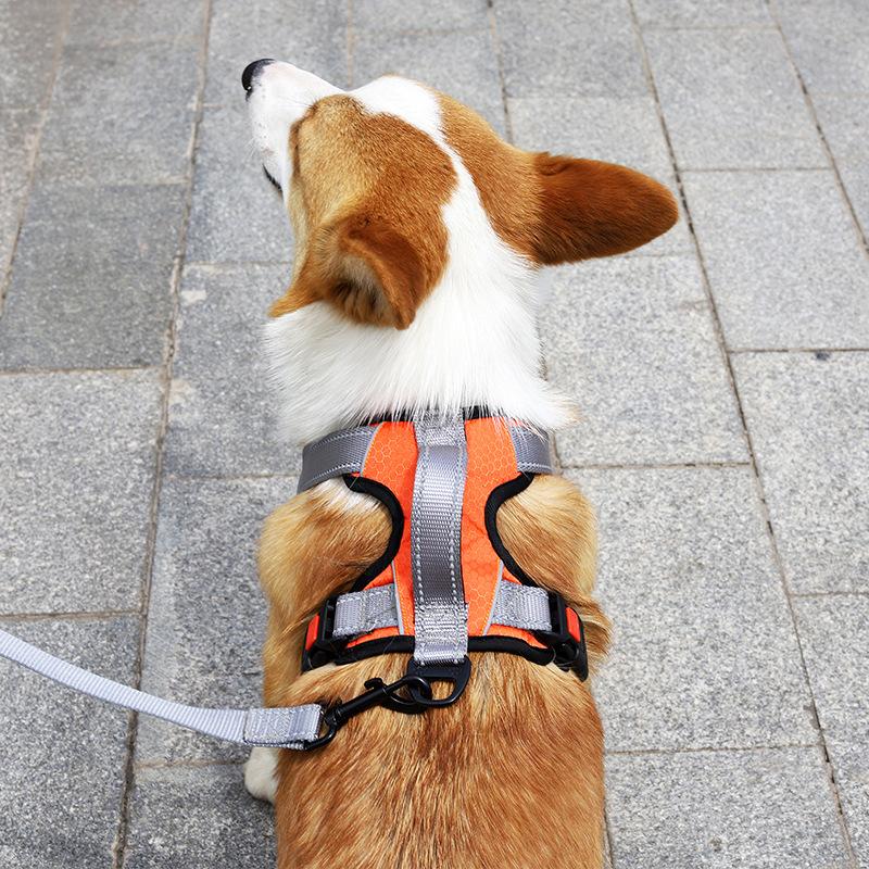 Dog leash vest type dog strap pet chest strap dog leash medium and large dog explosion-proof walking dog leash